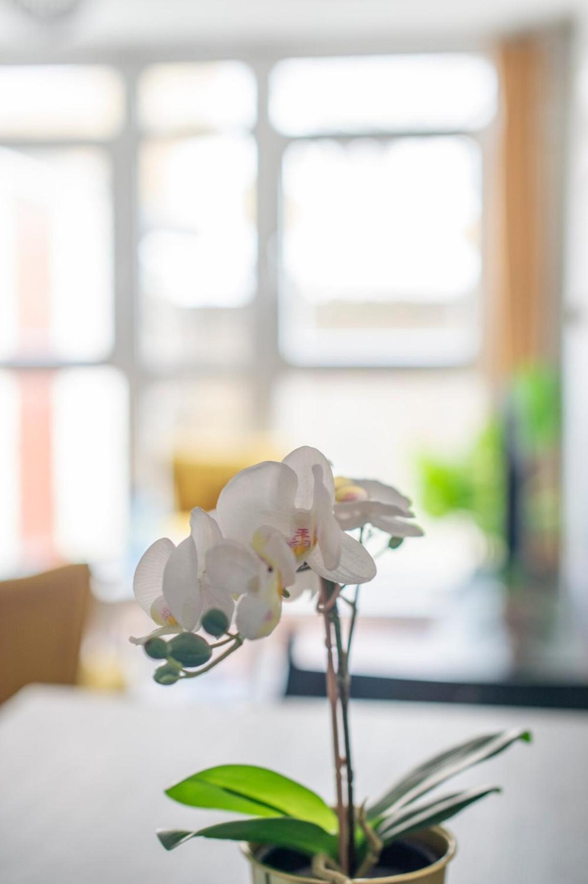 Lovely 2-Bed 20 Mins To Central London Ngoại thất bức ảnh